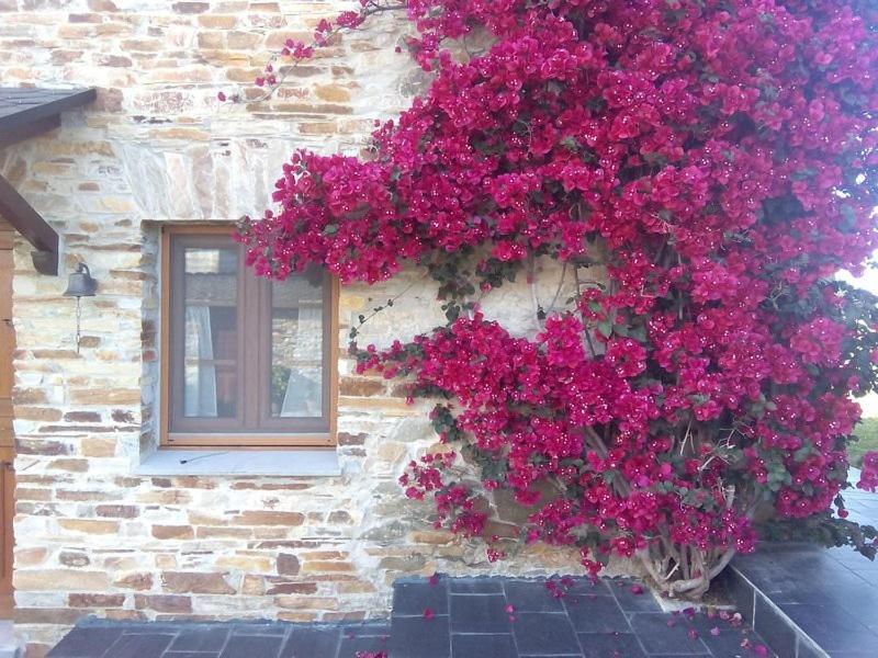 Casa Crisanta Villa Lomba Buitenkant foto
